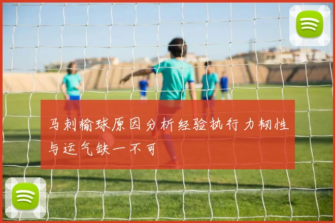 马刺输球原因分析经验执行力韧性与运气缺一不可
