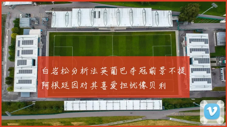 白岩松分析法英葡巴夺冠前景不提阿根廷因对其喜爱担忧像贝利